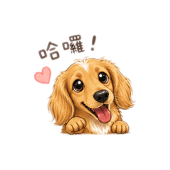 DayDay是我！