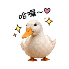 鴨鴨不一樣♡