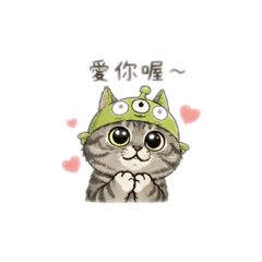 美短小Q