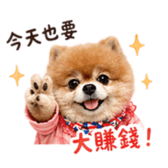 澎澎的股票人生