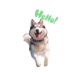 瘋狂狗哥2️⃣