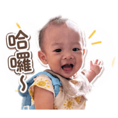 小六安姑的回覆用語