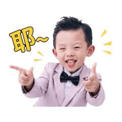 大黃蜂寶貝