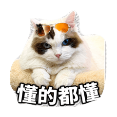 阿噗貓