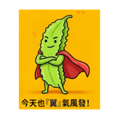 翼難忘｜豆豆先生的日常