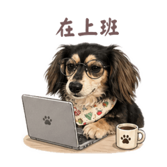 家有猜猜3