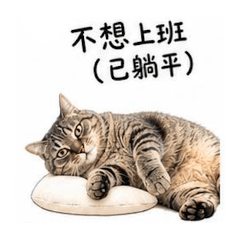 蹦極貓不想上班