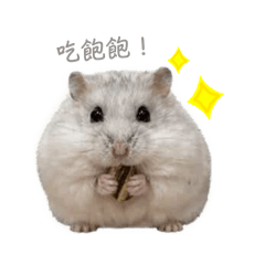 鼠餅餅の日常