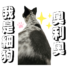 奧利奧（oreo）可愛貼圖