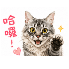 吒吒帥喔！