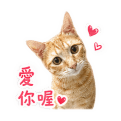 小妹日常（安）