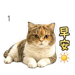 麻糬與米堡