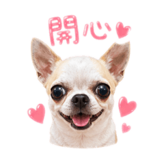 嚕咪專屬日常貼圖