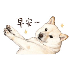 是咘咘本咘呀！！