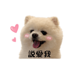 雪寶寶包