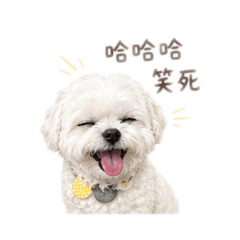 佑賢日常