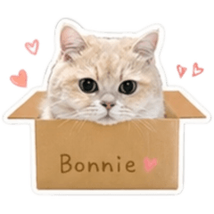 Bonnie！！