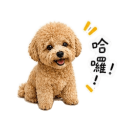 挖喜發貴！爽爽ㄟ日常生活