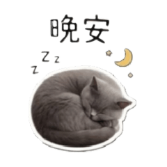 我是ㄇㄧㄇㄧㄇㄠˋㄇㄠˋ