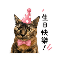 黑金·傲嬌女王（生日篇）