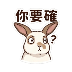 趙家可可兔1