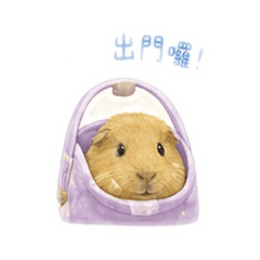 豚鼠咘咘！