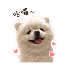 王子寶寶日常貼圖