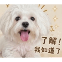 潘姚君