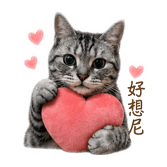 可愛小寶貝比❤️