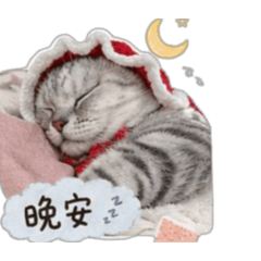 柚子の日常（現實版）