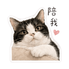 麻糬 可愛日常-1