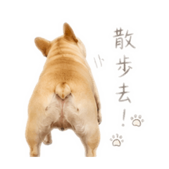 本汪語錄