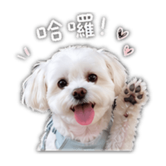 Olly的平行時空