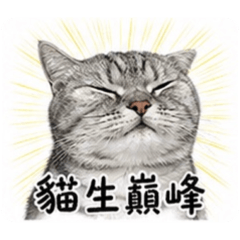 波吉的日常②