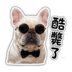 波力法鬥