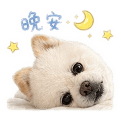 可愛活潑給給