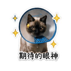 咪咪之語-01