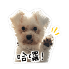 우유小朋友