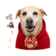 馬尼ㄉ日常