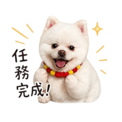 博美熊哥