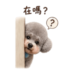♡樂樂♡日常用語