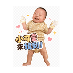 Pip寶寶の可愛生活