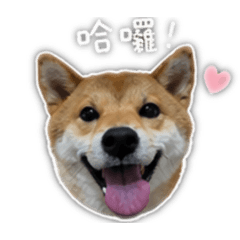 小嘎嘎的貼圖