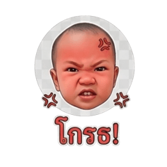 Mayme_20260428100709