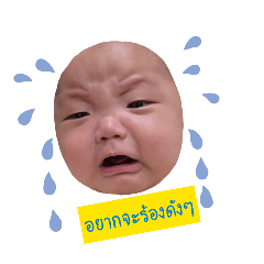 banhbao_20260428090829
