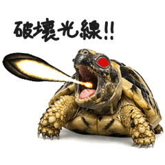 錐錐兒的逆襲