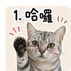 Catttyouimmmmm