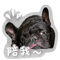 我是可愛的吧哺