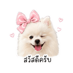 KhaoJao Mali Tuayfuu_20260430223542