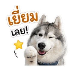 Lekky Lekka_20260430223623